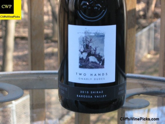 2010 Two Hands Shiraz Gnarly Dudes