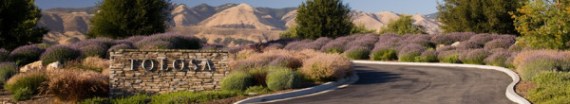 Tolosa
