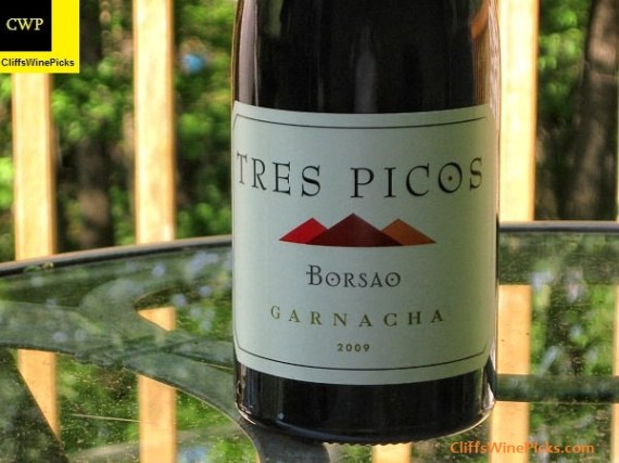 2009 Bodegas Borsao Garnacha Campo de Borja Tres Picos