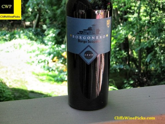 2009 Borgo Scopeto (Tenuta Caparzo) Borgonero Toscana IGT