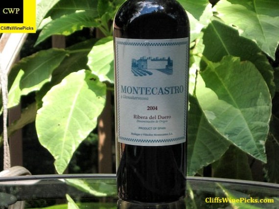 2004 Bodegas y Vinedos Montecastro y Llanahermosa Ribera del Duero