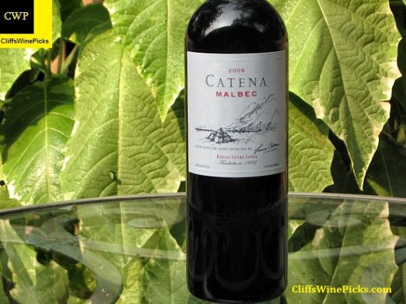 2009 Bodega Catena Zapata Malbec