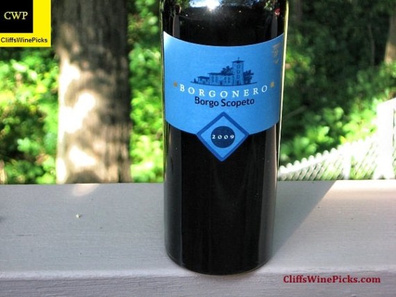 2009 Borgo Scopeto (Tenuta Caparzo) Borgonero Toscana IGT