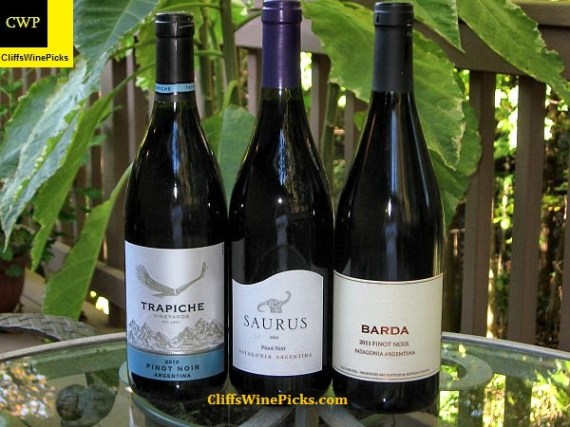 Argentina Pinot Noir line up