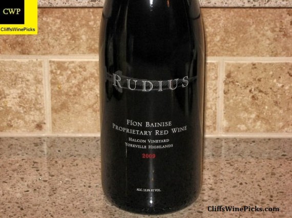 2009 Rudius Fion Bainise Halcon Vineyard