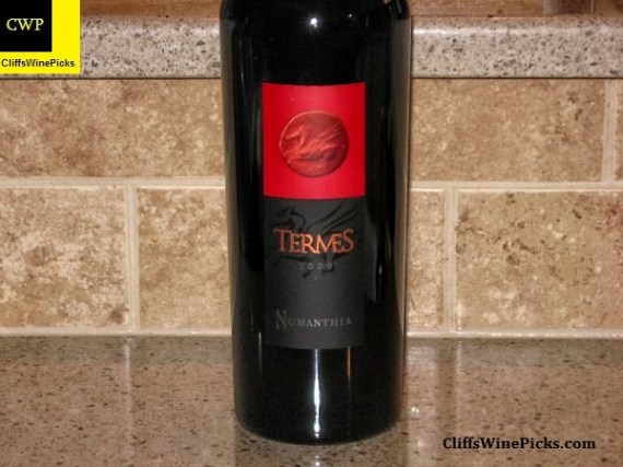 2009 Bodega Numanthia Termes Toro Termes