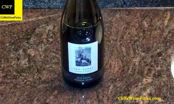 2010 Two Hands Shiraz Gnarly Dudes