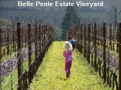 a_Riona_in_Vineyard_50_JPG