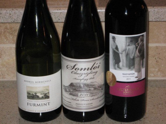 Wines of Hungary line up
