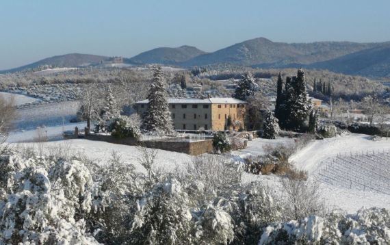 Castello di Bossi winery