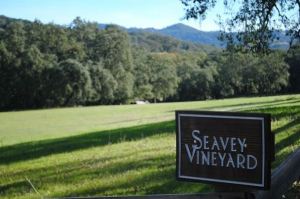 Seavey Vineyard