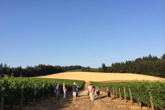 10550839_774422255948040_1557932964545579317_n