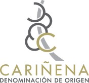 LOGO DO CARINENA