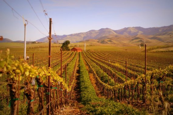 156287_10150672592001517_1213184989_n