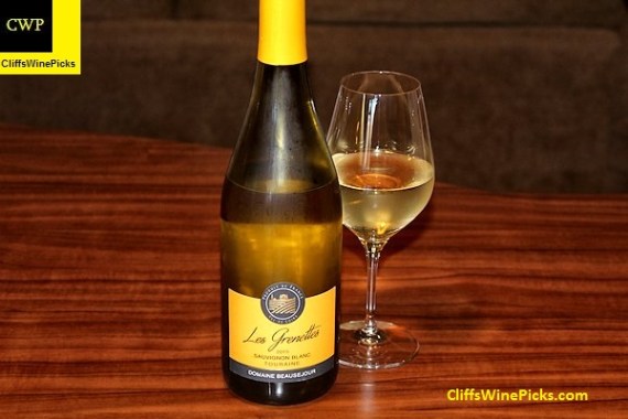 2015 Domaine Beausejour Touraine Les Grenettes