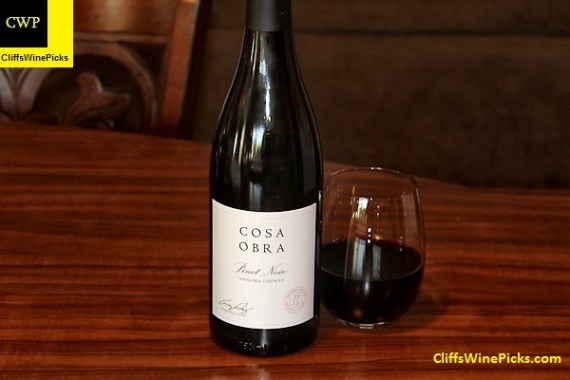 2013 Cosa Obra Pinot Noir